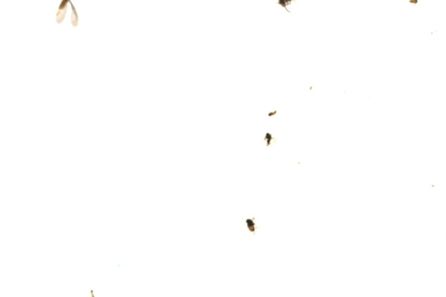 Image 72